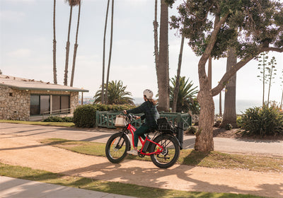 Fat Tire vs. Regular Tire eBike: Which One Suits You Best?