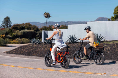 Tesway Cargo E-Bike S5: A Fusion of Style and Functionality