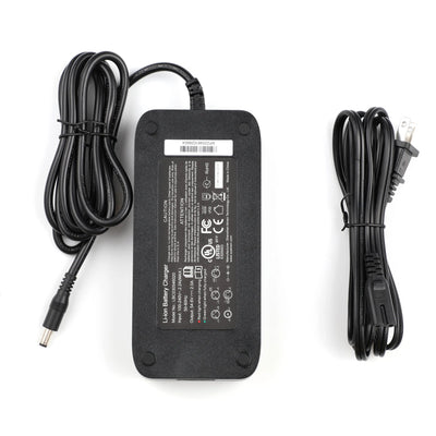 Tesgo Battery Charger Tesgo